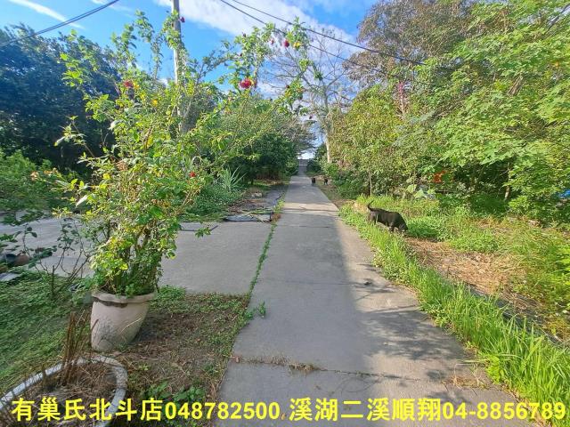 彰化溪州農地-0