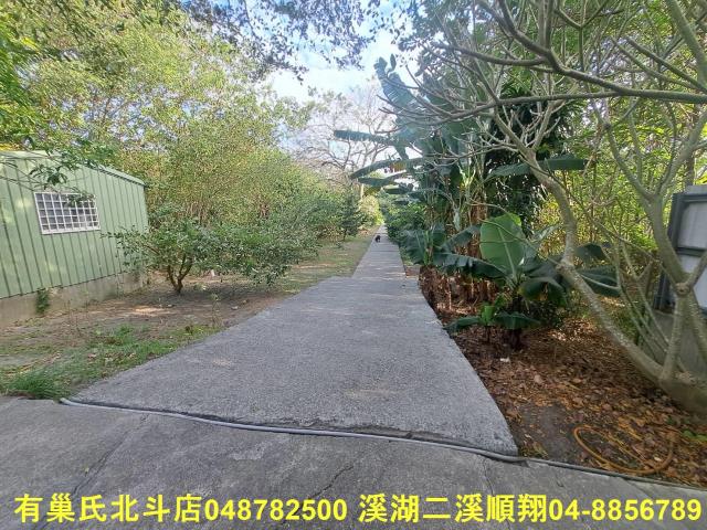 彰化溪州農地-8