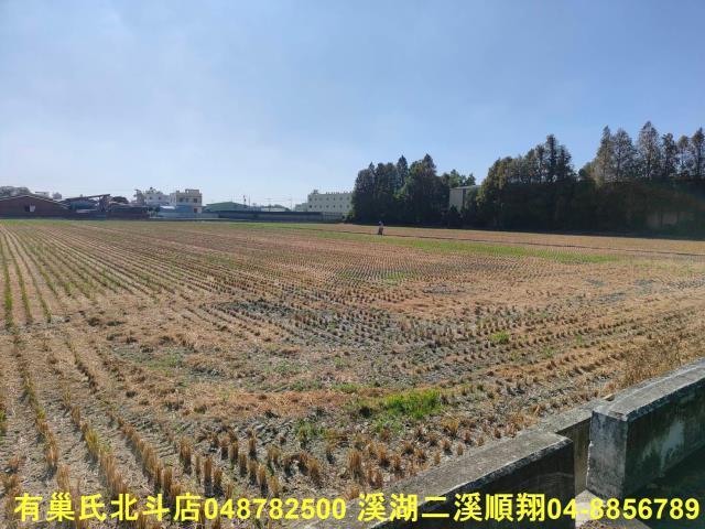 秀水農地-4
