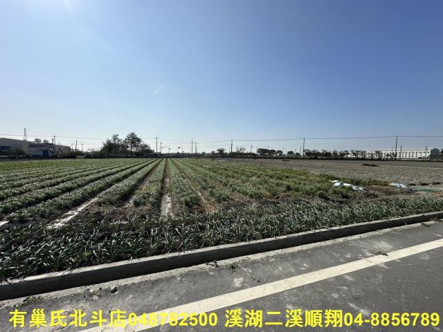 彰化埔鹽農地-2