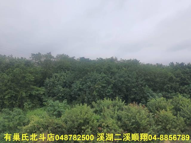 溪州農地-2