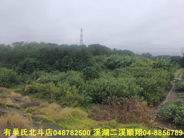 溪州農地-3