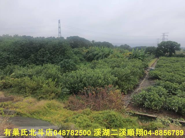 溪州農地-5