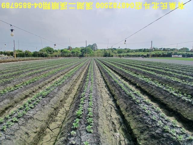 田尾農地-10