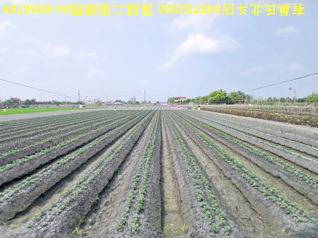 田尾農地-5