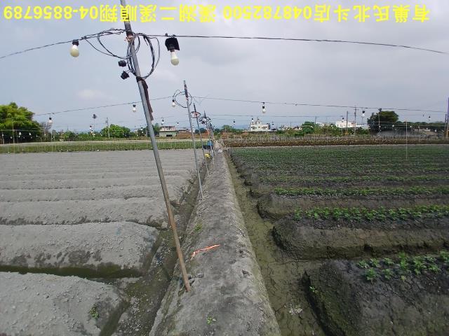 田尾農地-8