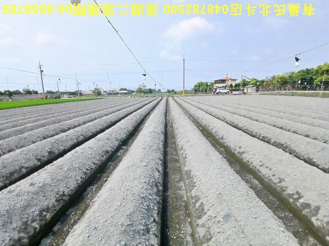 田尾農地-9