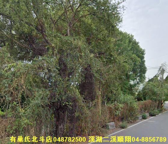 田尾農地-4