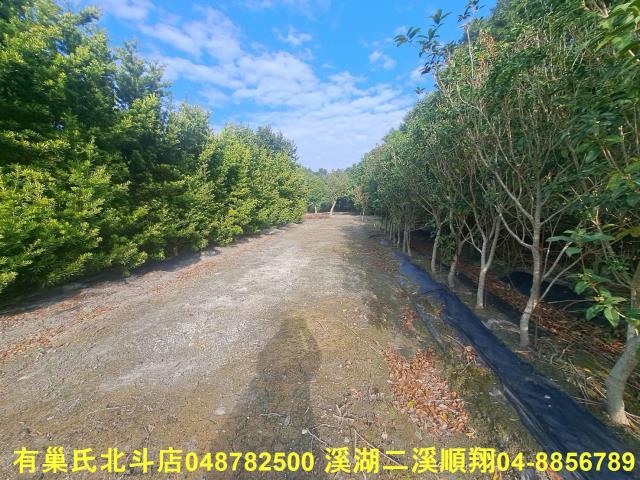 彰化農地-3