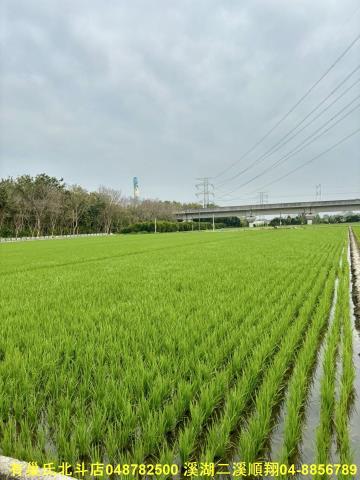 彰化農地-2