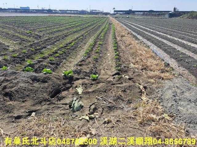 彰化二林農地-3