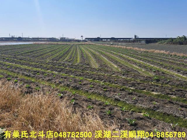 彰化二林農地-4