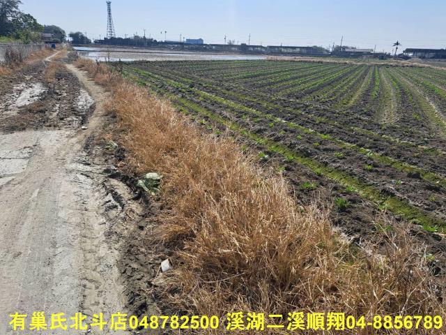 彰化二林農地-5