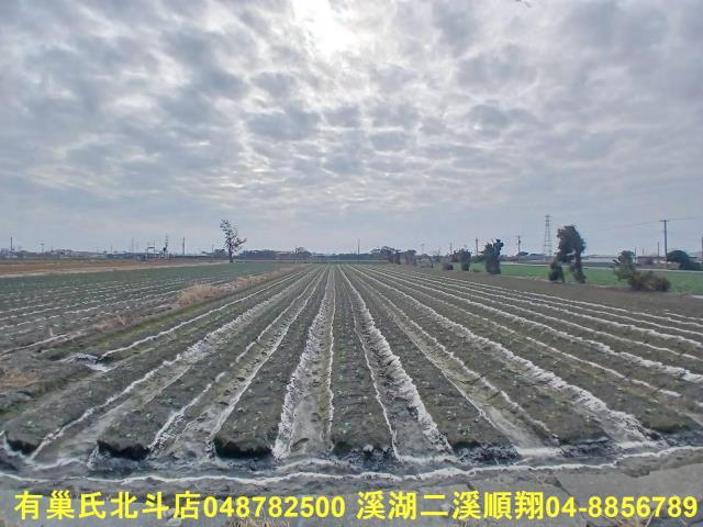 彰化二林農地-9
