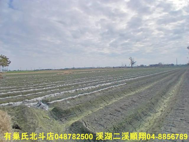 彰化二林農地-10
