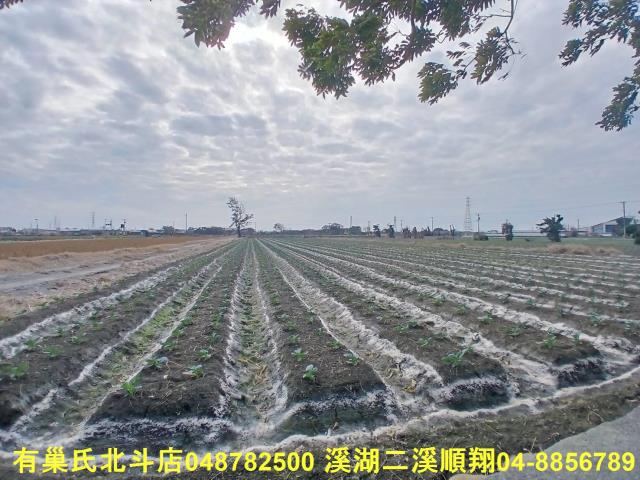 彰化二林農地-5