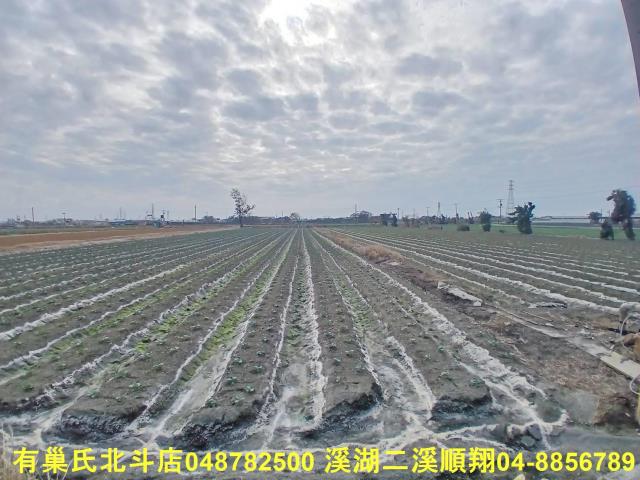 彰化二林農地-6