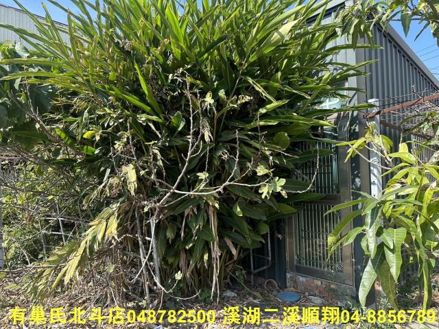 福興農地-4