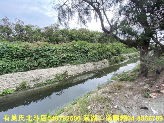 雲林台西農地-5