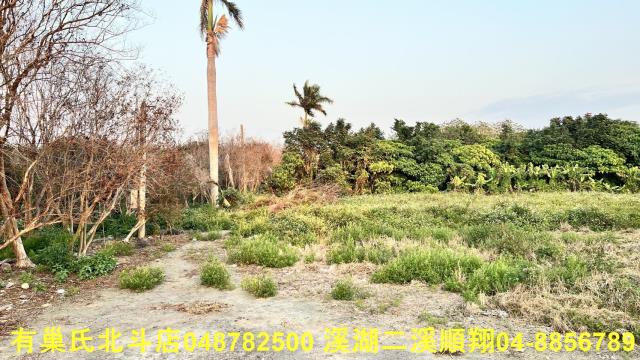 彰化溪州建地-3