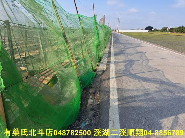埤頭農地-9