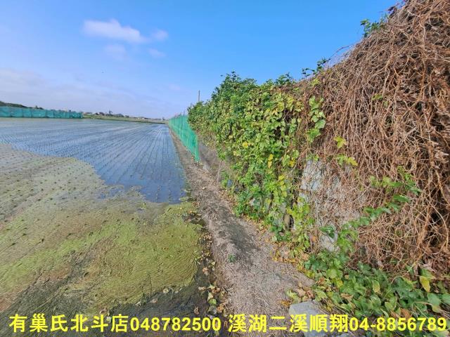 埤頭農地-4