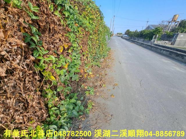 埤頭農地-5