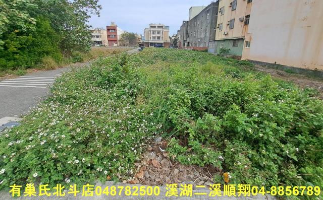 線西建地-5