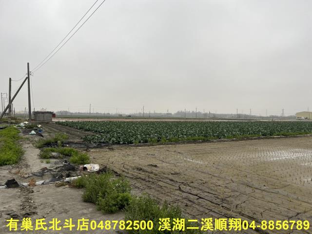 二林農地-1