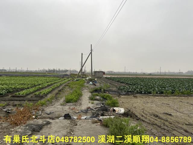 二林農地-2