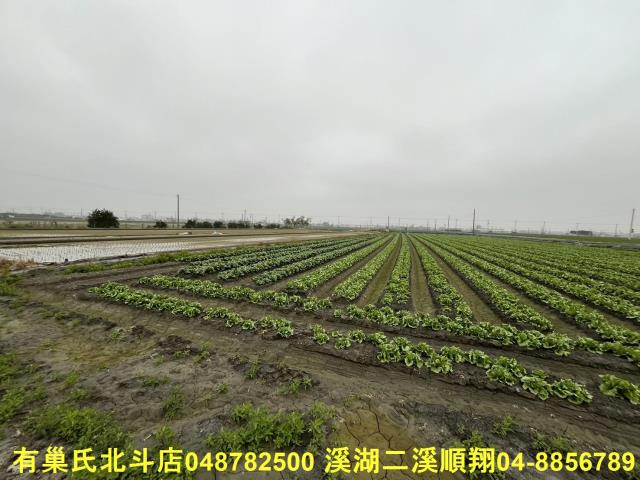 二林農地-3