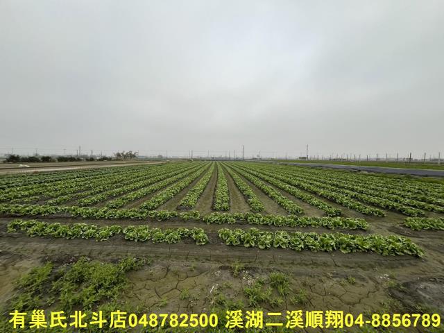 二林農地-4