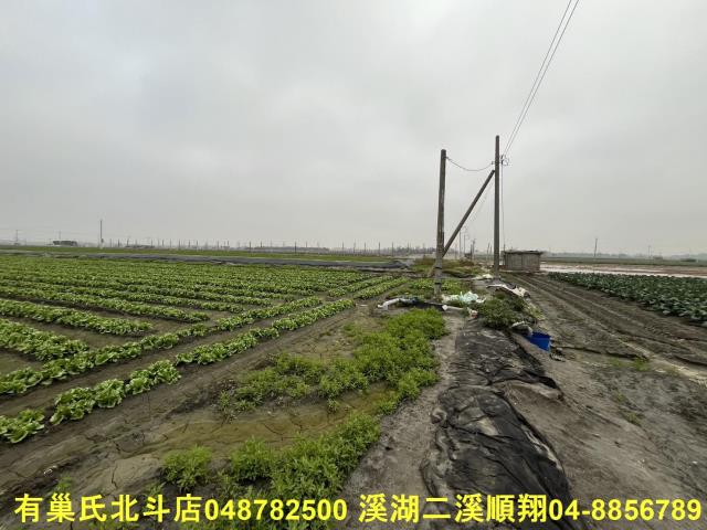 二林農地-5