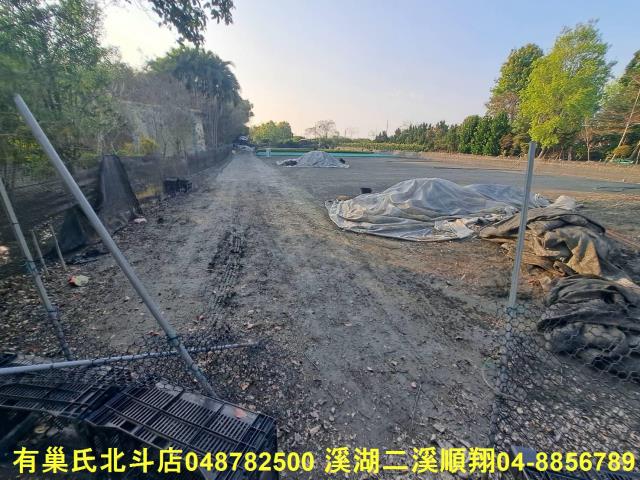 田中農地-3