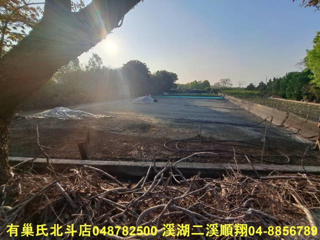 田中農地-6