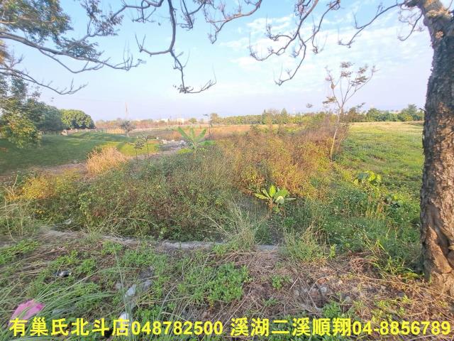 田中農地-1