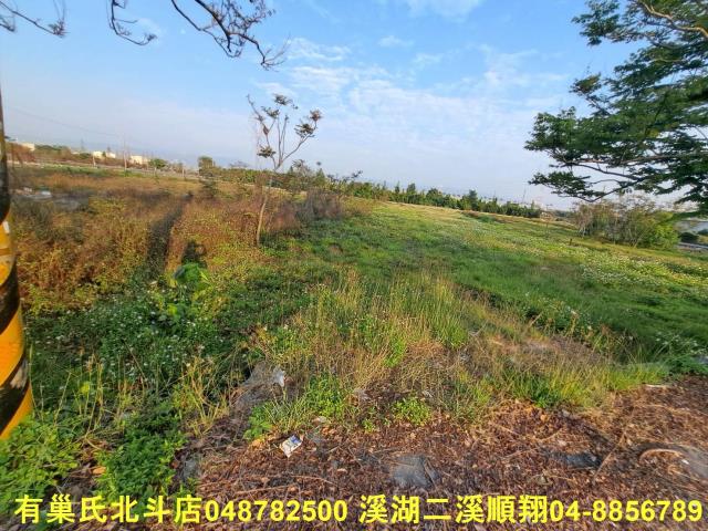 田中農地-2