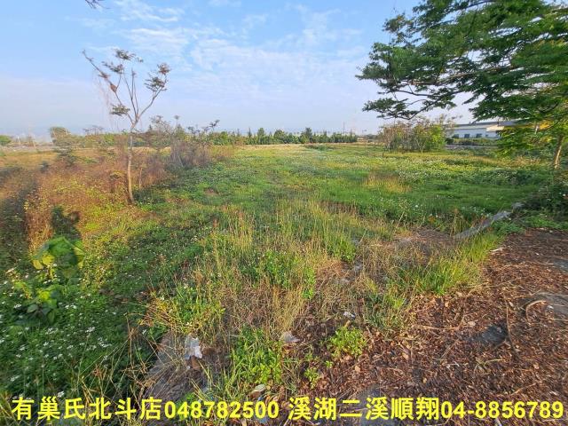 田中農地-3