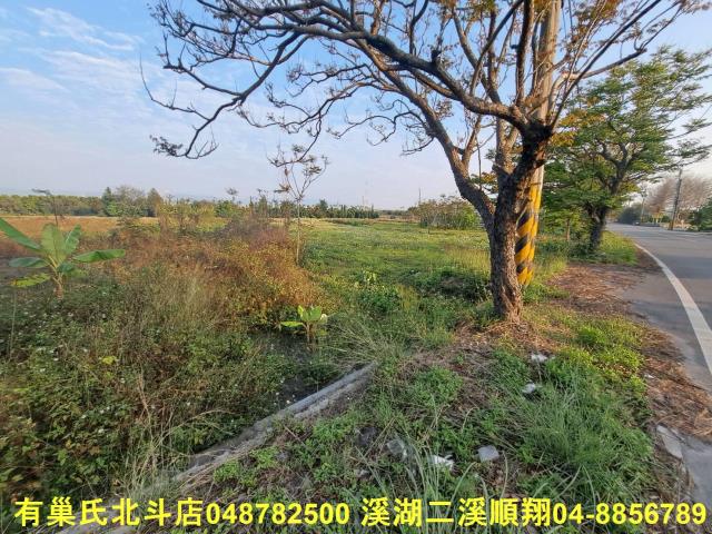 田中農地-4