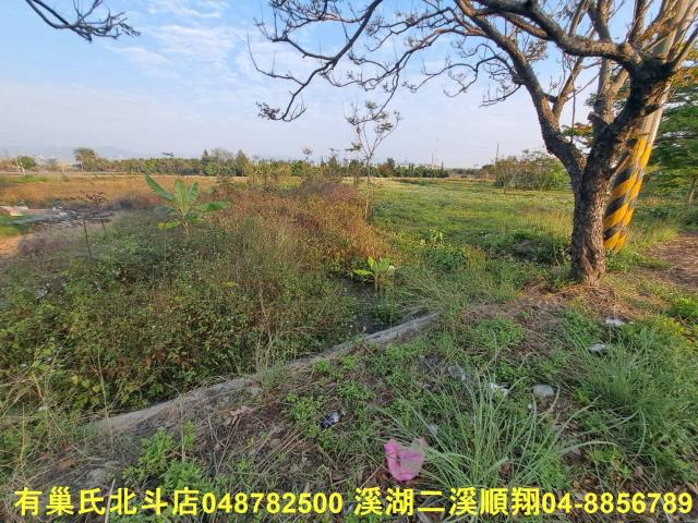 田中農地-5