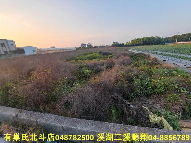 田尾農地-0