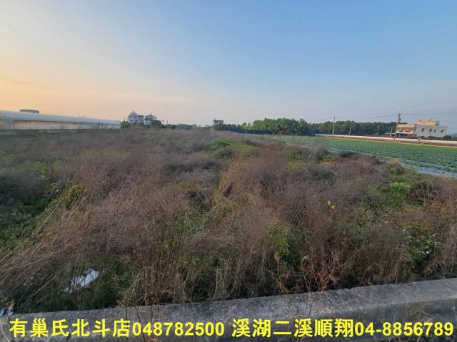 田尾農地-2