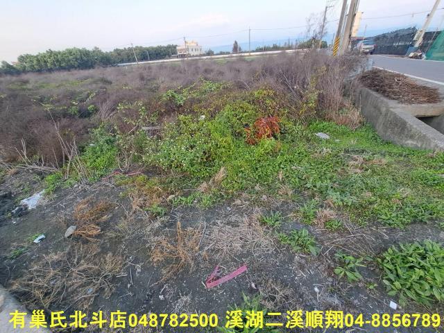 田尾農地-4