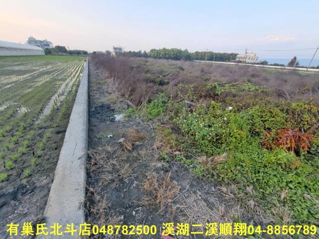田尾農地-5