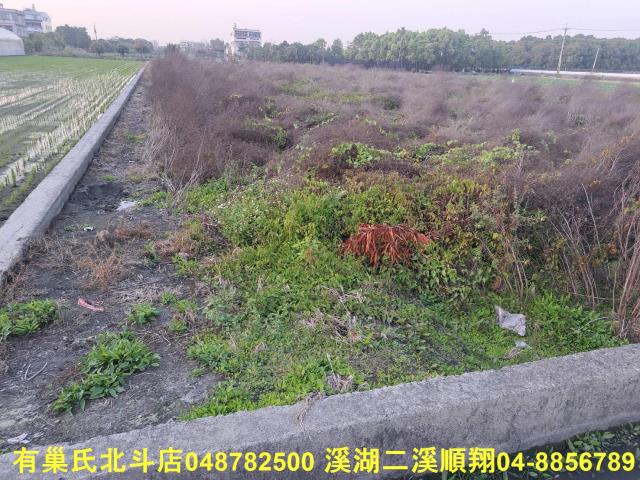 田尾農地-6
