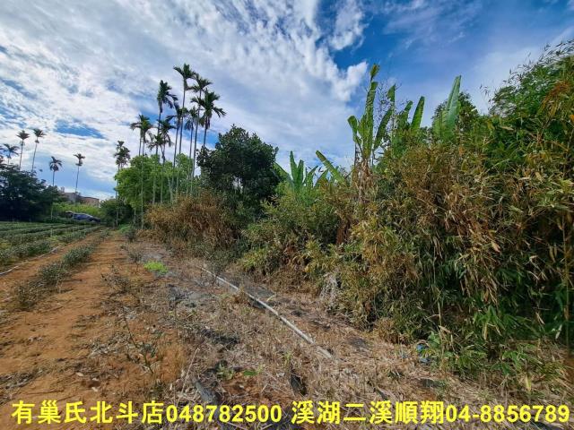 南投名間農地-9