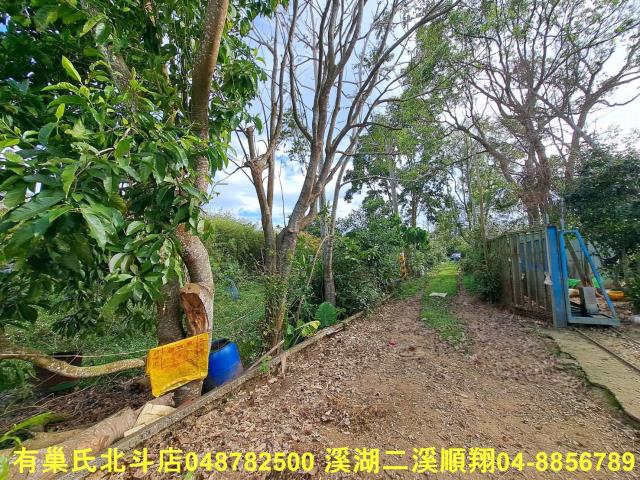 南投名間農地-12