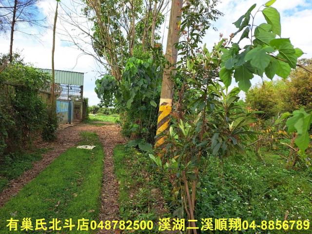 南投名間農地-1