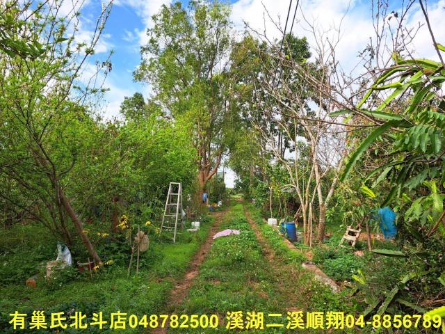 南投名間農地-2