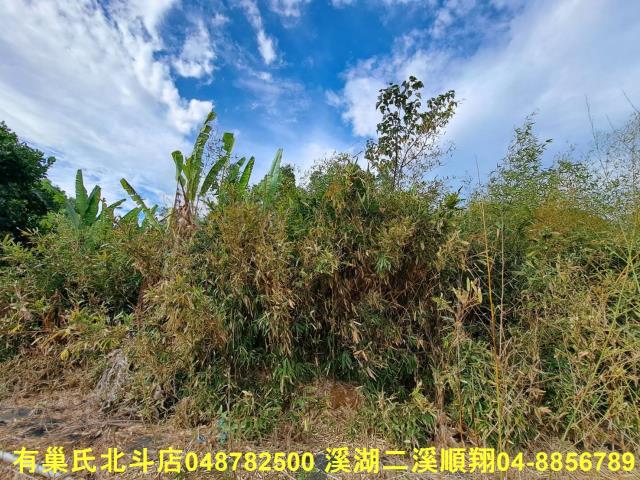 南投名間農地-8